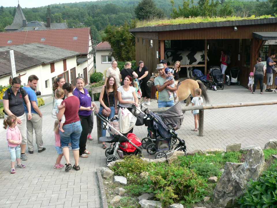 lochm-hle-2017-50.jpg