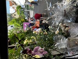 img-5493.jpeg