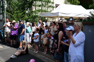 dsc-3495-2.jpg