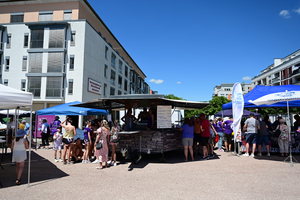 dsc-3770-1.jpg