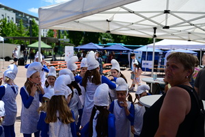 dsc-3784-1.jpg