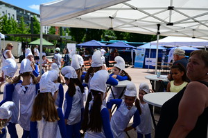 dsc-3785-1.jpg