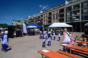 dsc-3786-1.jpg
