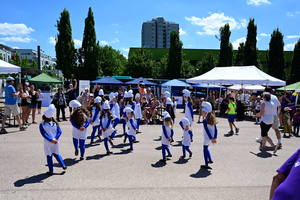 dsc-3796-1.jpg