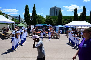 dsc-3795-1.jpg
