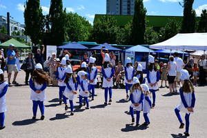 dsc-3797-1.jpg