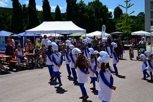 dsc-3798-1.jpg