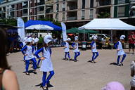 dsc-3845-1.jpg