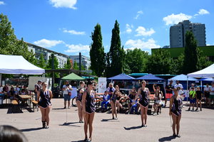 dsc-3873-1.jpg