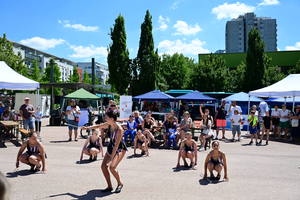 dsc-3879-1.jpg