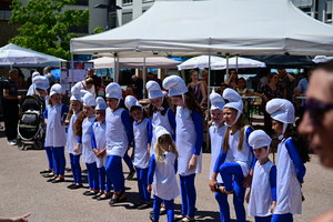 dsc-3852-1.jpg