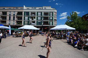 dsc-3930.jpg