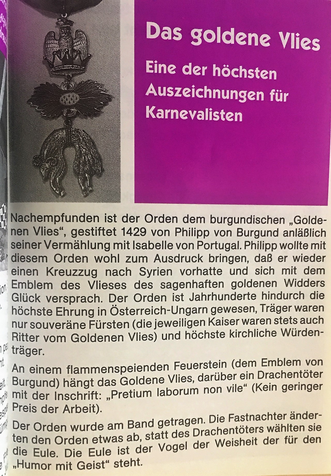 goldene-flies-info.jpg