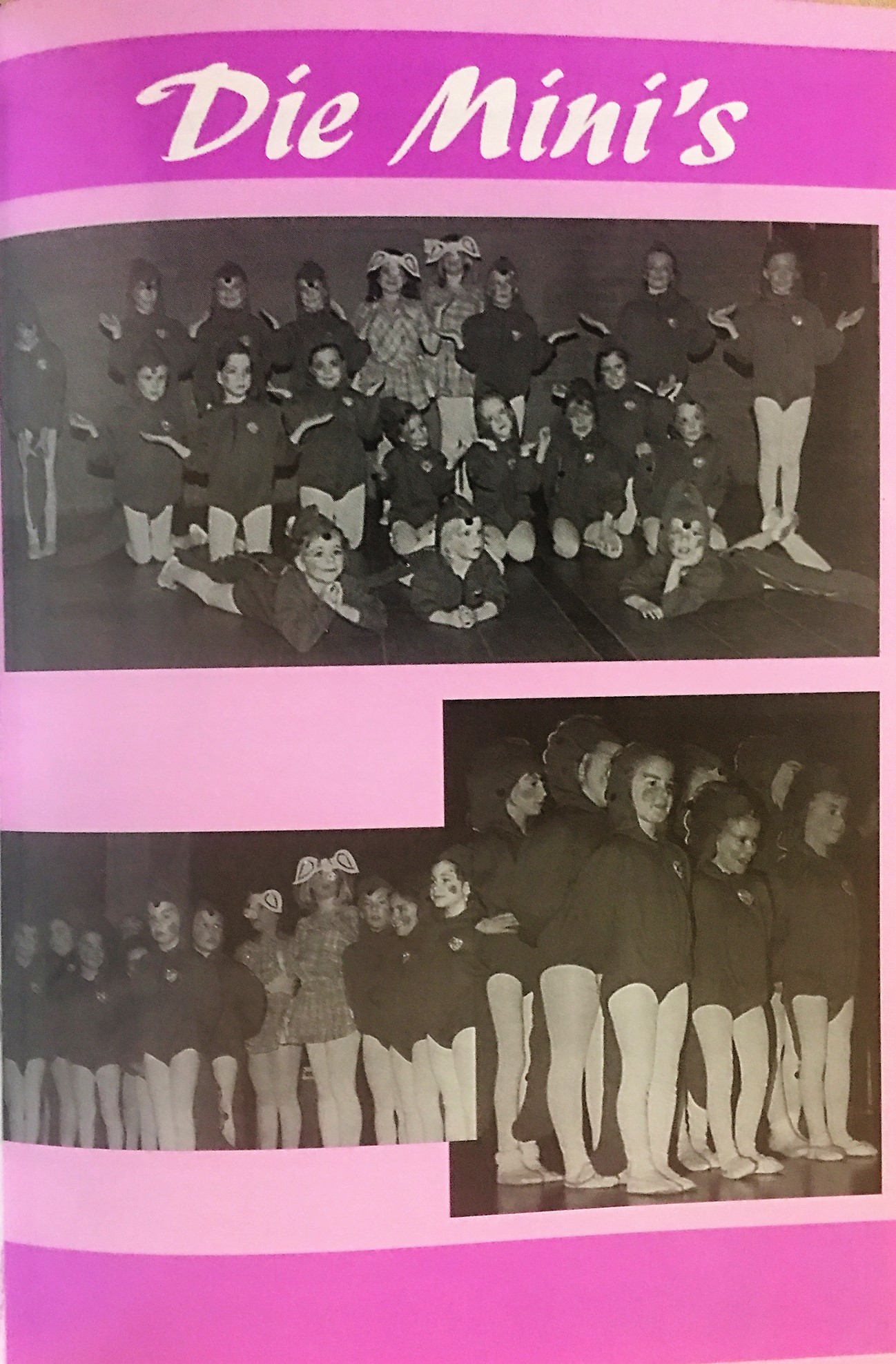 minis-1996.jpg